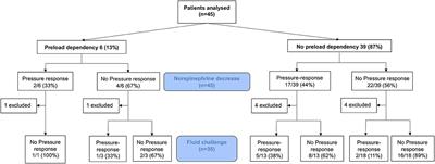 Arterial Hypotension Following Norepinephrine Decrease in Septic Shock Patients Is Not Related to Preload Dependence: A Prospective, Observational Cohort Study